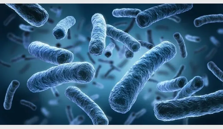 prélèvement legionella erp à Pelves