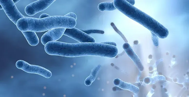 Gestion du risque microbiologique (1)